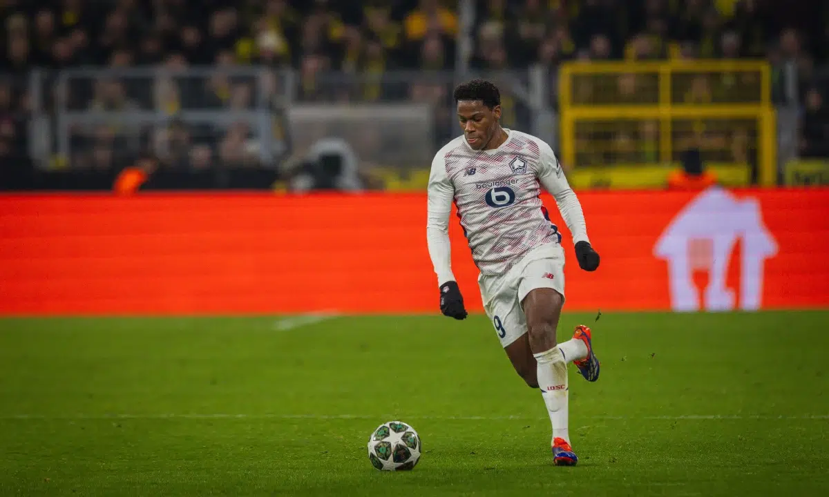 Jonathan David (Lille) Borussia Dortmund - Lille